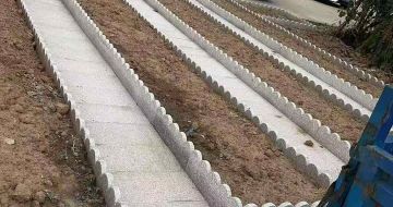 盘锦芝麻白花边石