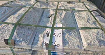 盘锦芝麻白蘑菇石，自然面